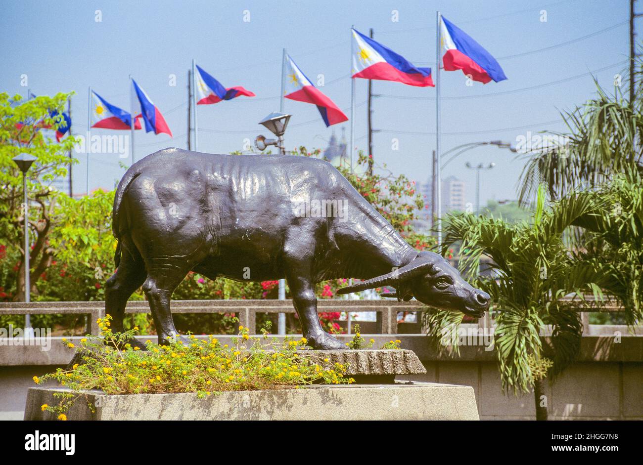 Una statua a grandezza naturale di carabao (bufalo d'acqua) sul Burnham Green nella sezione sud-ovest del Parco Rizal a Manila, Luzon, nelle Filippine. Una serie di bandiere nazionali delle Filippine può essere vista sullo sfondo. Rizal Park (conosciuto anche come Luneta Park, o semplicemente Luneta) è un parco urbano storico nel quartiere Ermita di Manila. E' uno dei parchi urbani piu' grandi in Asia, che copre un'area di 58 ettari, adiacente alla storica citta' murata di Intramuros. Situato sulla riva orientale della Baia di Manila, il parco gioca un ruolo significativo nella storia delle Filippine. Foto Stock
