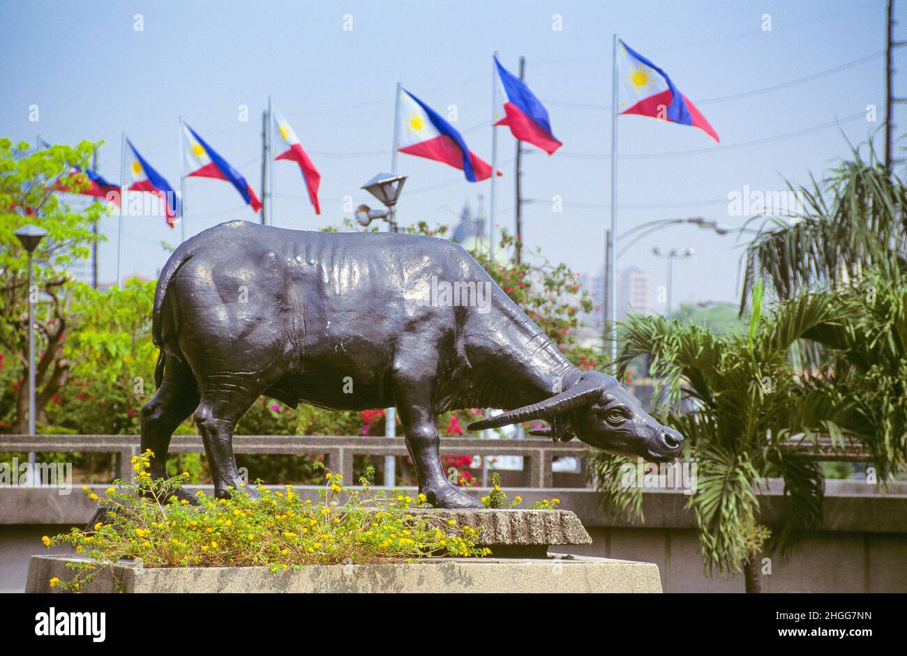 Una statua a grandezza naturale di carabao (bufalo d'acqua) sul Burnham Green nella sezione sud-ovest del Parco Rizal a Manila, Luzon, nelle Filippine. Una serie di bandiere nazionali delle Filippine può essere vista sullo sfondo. Rizal Park (conosciuto anche come Luneta Park, o semplicemente Luneta) è un parco urbano storico nel quartiere Ermita di Manila. E' uno dei parchi urbani piu' grandi in Asia, che copre un'area di 58 ettari, adiacente alla storica citta' murata di Intramuros. Situato sulla riva orientale della Baia di Manila, il parco gioca un ruolo significativo nella storia delle Filippine. Foto Stock