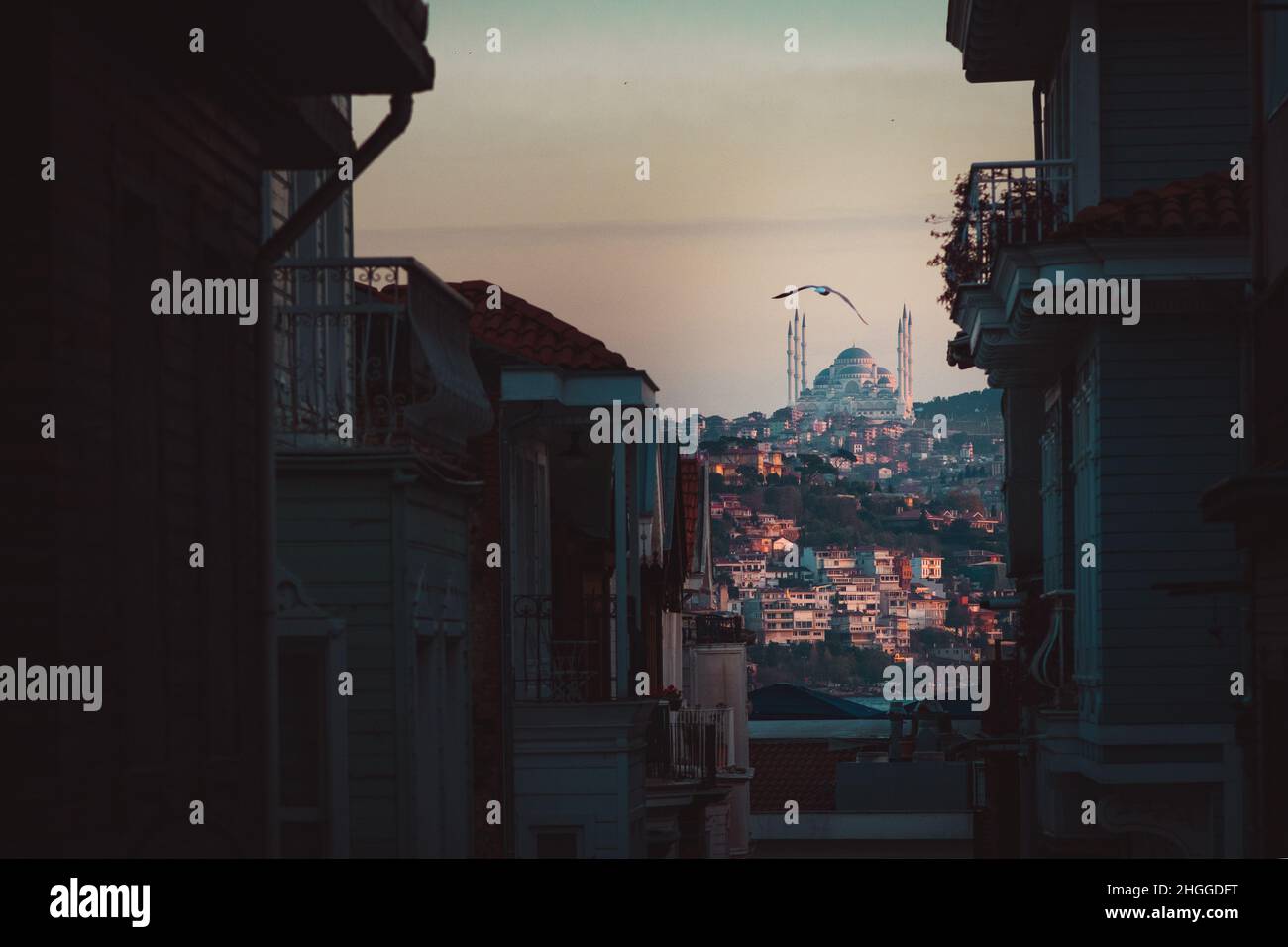 Passeggia nel quartiere di Arnavutköy al tramonto con una vista incredibile sulla moschea di Çamlıca a Istanbul Foto Stock