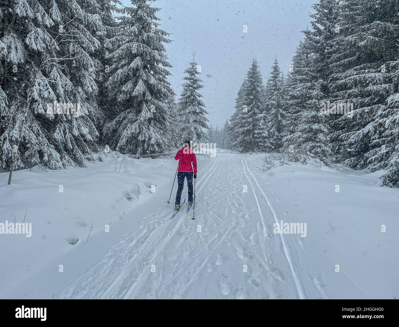 sciare in montagna vogtland Foto Stock