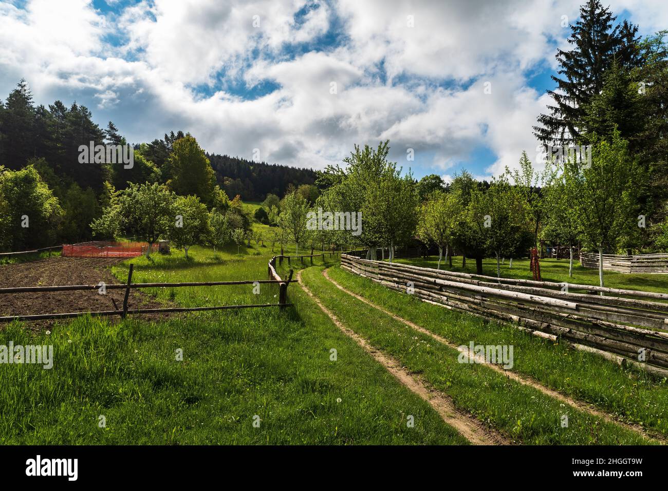 Paesaggio rurale primaverile con sentiero, piccolo campo, alberi, collina sullo sfondo e cielo blu con nuvole sopra il villaggio di Strelna in Monte Bile Karpaty Foto Stock