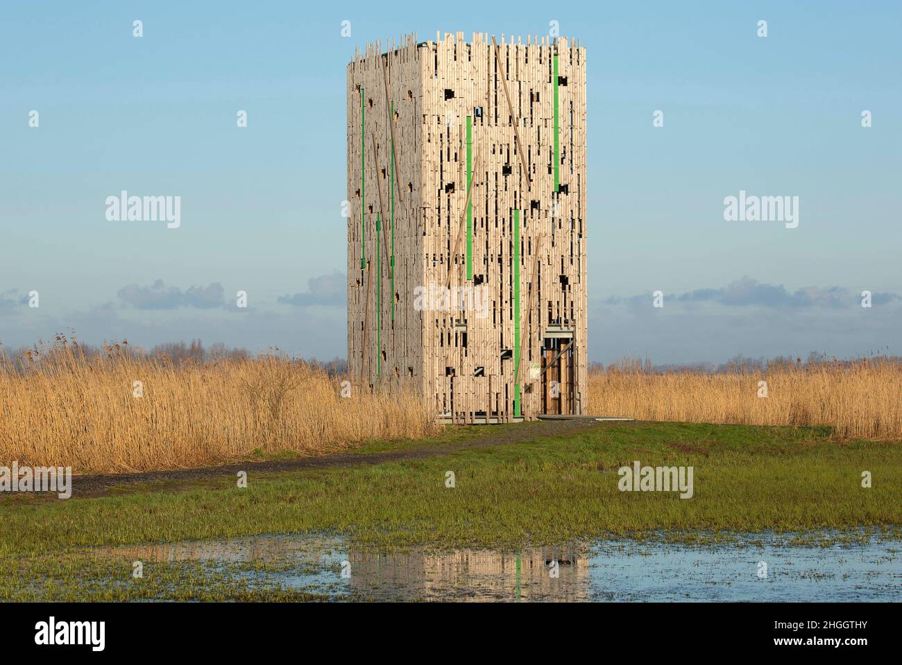 Torre di avvistamento nella riserva naturale di Blankaart, Belgio, Fiandre Occidentali, Diksmuide, Blankaart Foto Stock