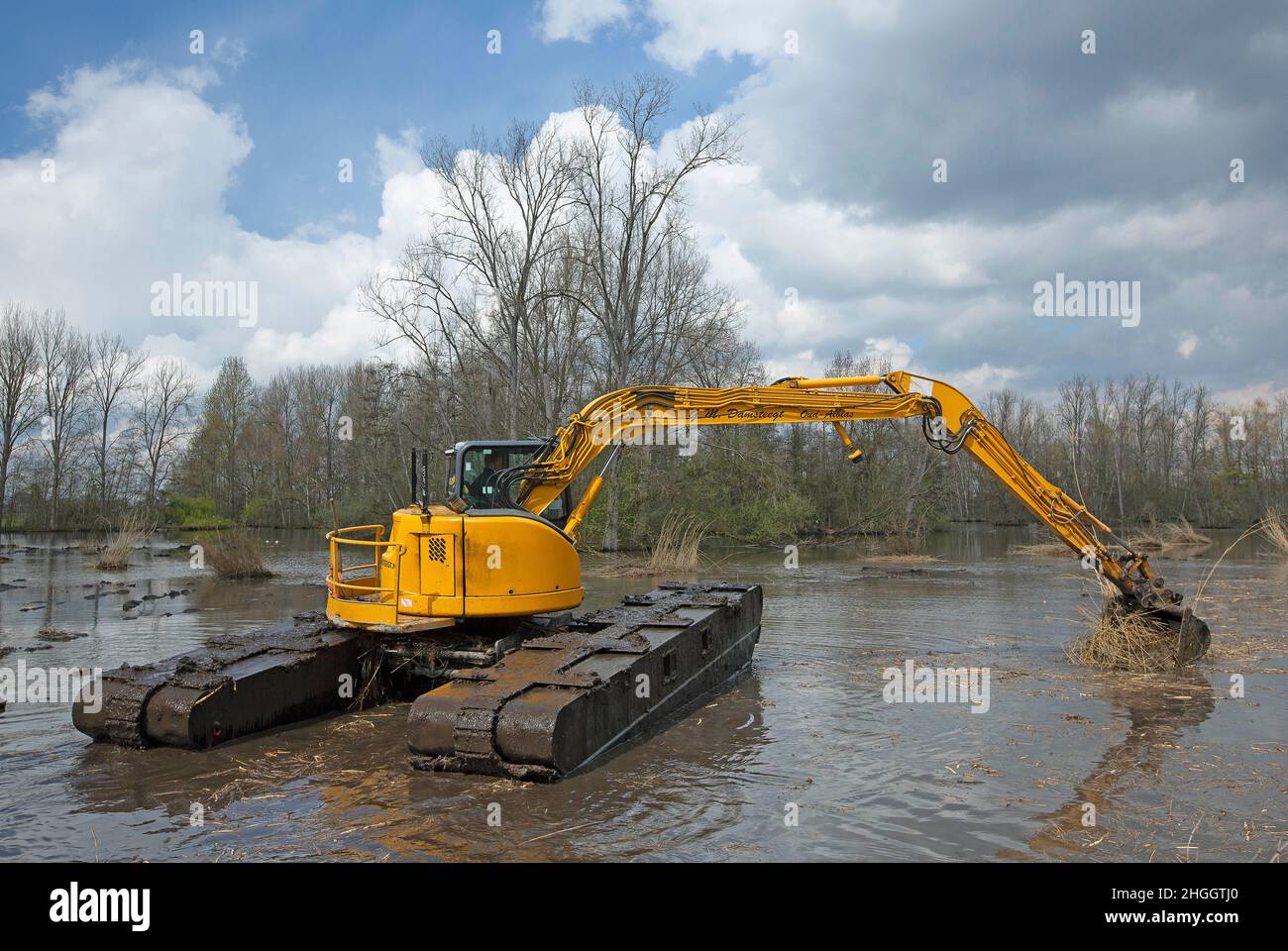 Escavatore a pala in pianura allagata, lavori di costruzione per la protezione contro le inondazioni, Belgio, Fiandre Orientali, Berlare, Berlare Broek Foto Stock