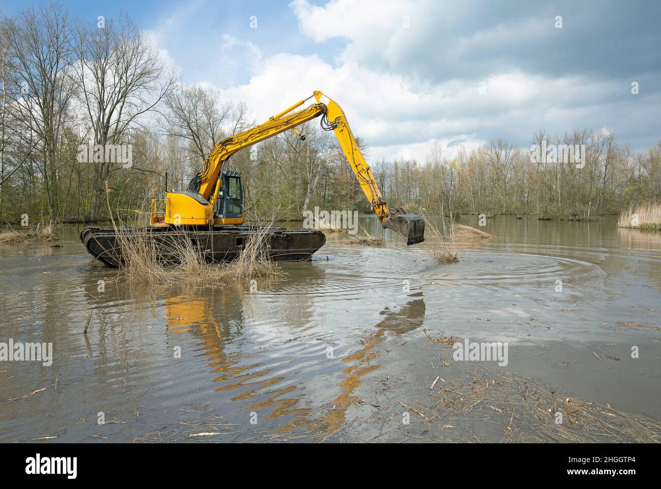 Escavatore a pala in pianura allagata, lavori di costruzione per la protezione contro le inondazioni, Belgio, Fiandre Orientali, Berlare, Berlare Broek Foto Stock
