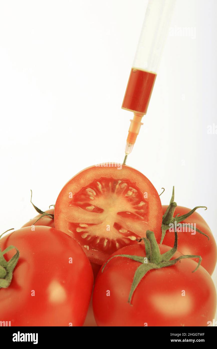 Pomodoro da giardino (Solanum lycopersicum, Lycopersicon esculentum), siringa incollata in mezzo pomodoro, vegetale geneticamente modificato Foto Stock