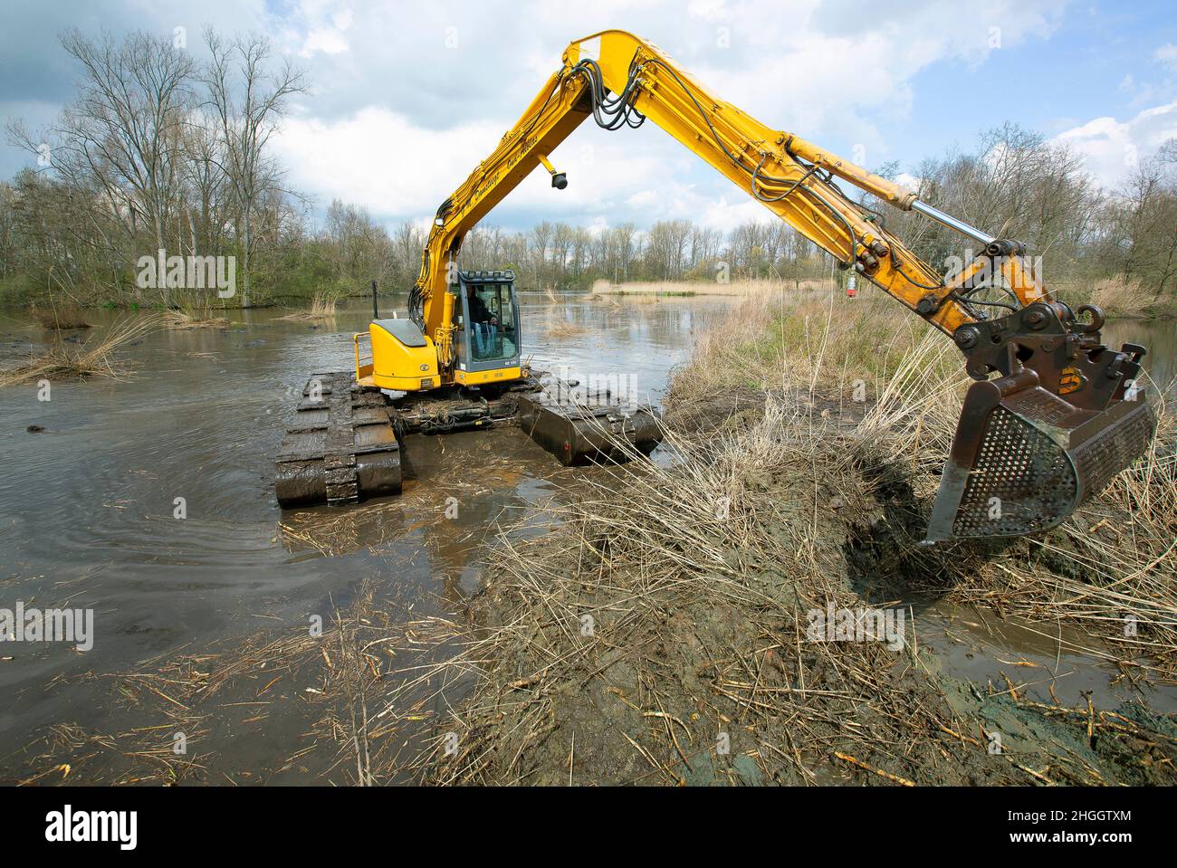 Escavatore a pala in pianura allagata, lavori di costruzione per la protezione contro le inondazioni, Belgio, Fiandre Orientali, Berlare, Berlare Broek Foto Stock