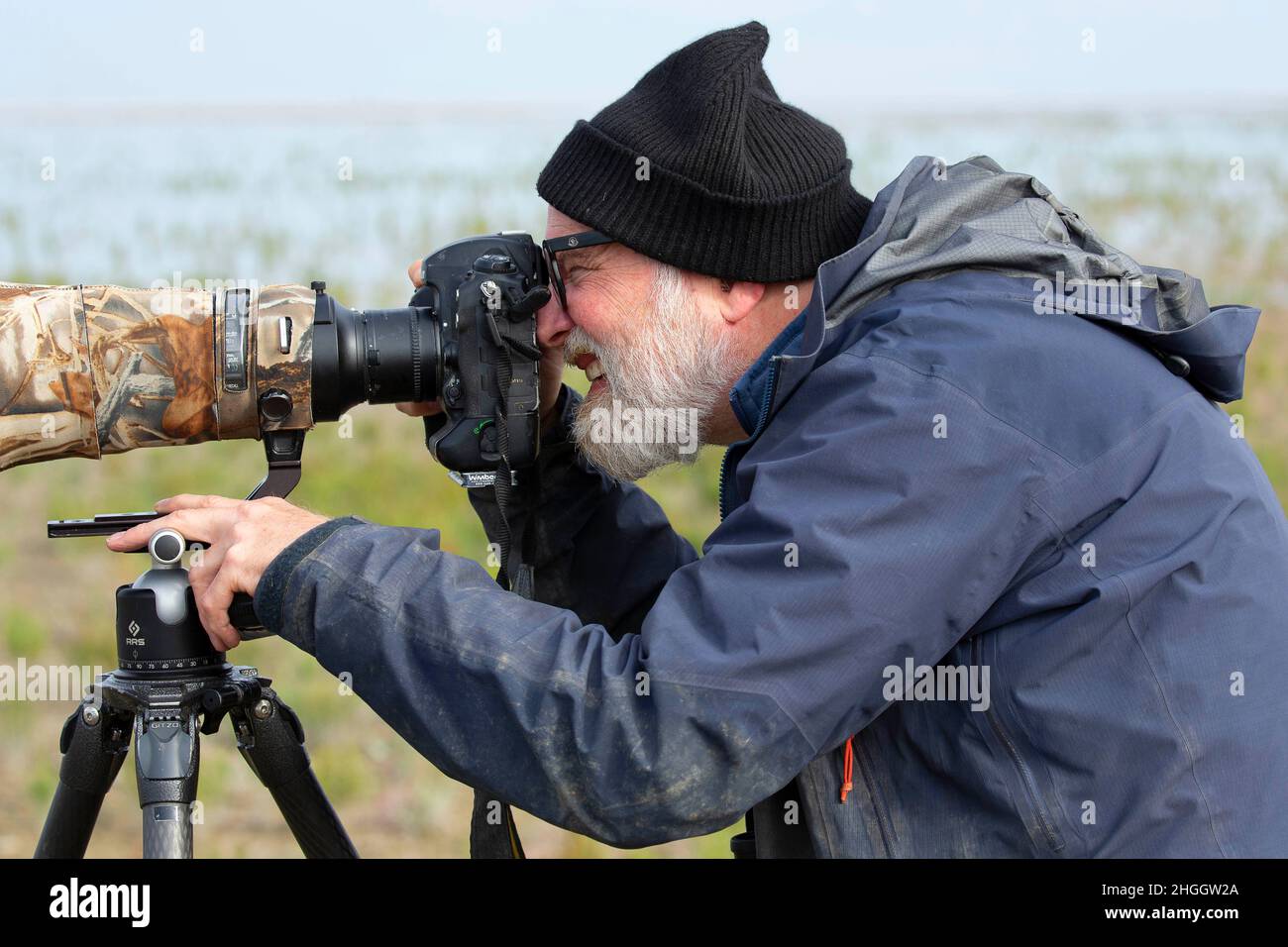 Fotografo di fauna selvatica al lavoro, Paesi Bassi, Leeuwarden Foto Stock