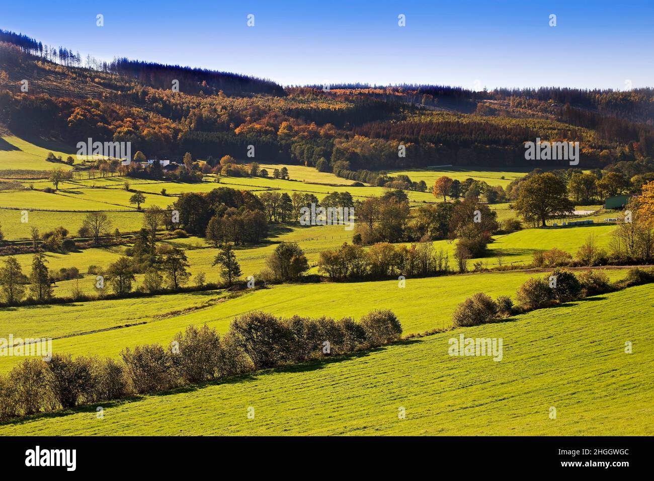 Paesaggio nei pressi di Nordhelle nella Valle di Ebbebach, Germania, Renania settentrionale-Vestfalia, Sauerland Foto Stock