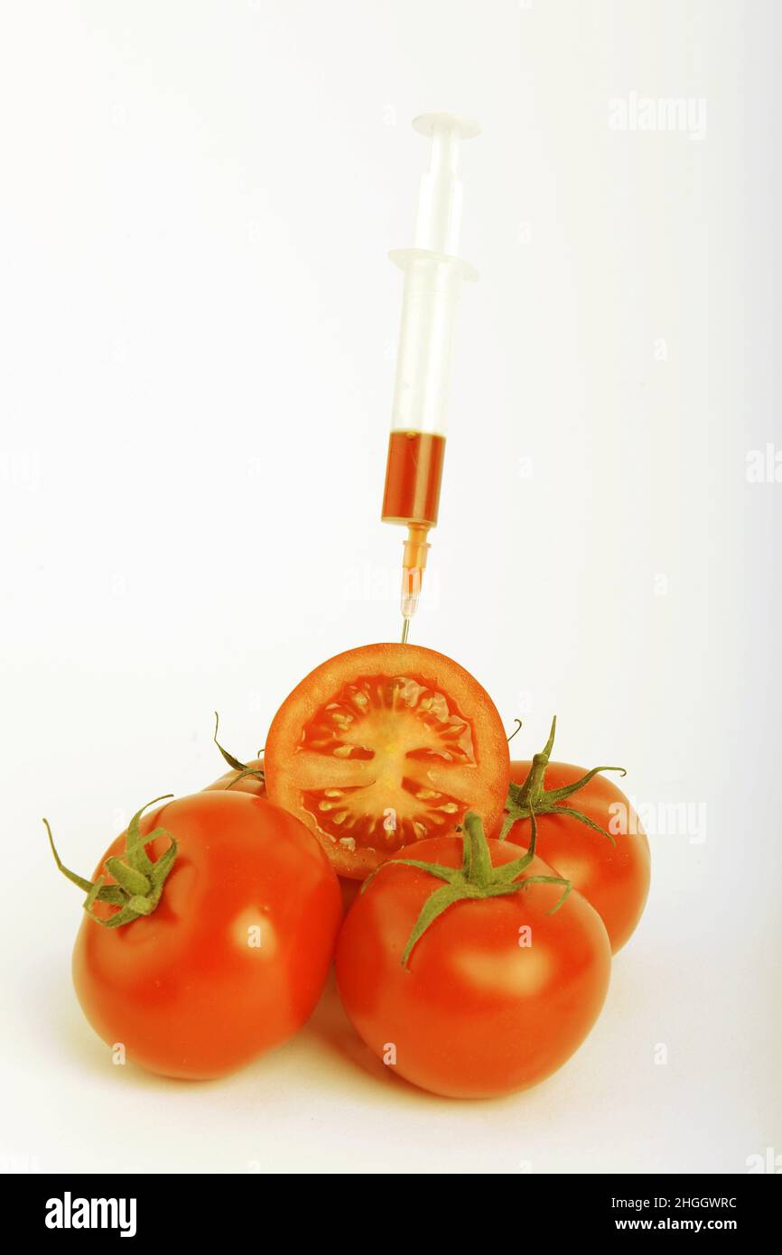 Pomodoro da giardino (Solanum lycopersicum, Lycopersicon esculentum), siringa incollata in mezzo pomodoro, vegetale geneticamente modificato Foto Stock