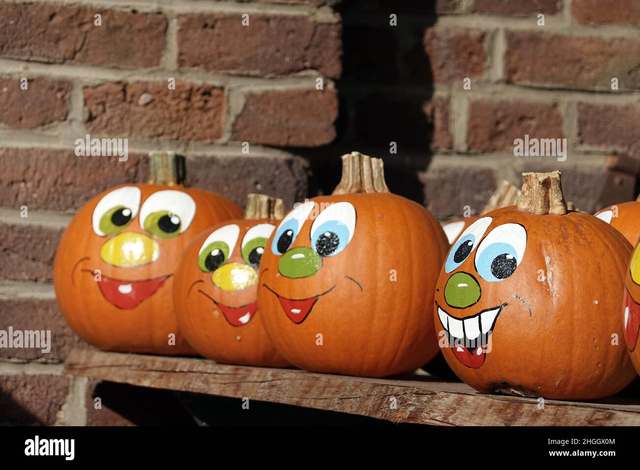 Midollo, zucca da campo (Cucurbita pepo), facce dipinte divertenti sulle zucche alimentari, Germania Foto Stock