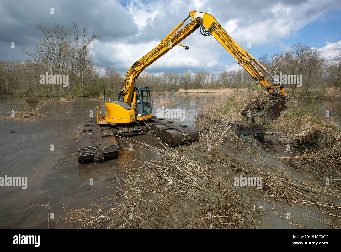 Escavatore a pala in pianura allagata, lavori di costruzione per la protezione contro le inondazioni, Belgio, Fiandre Orientali, Berlare, Berlare Broek Foto Stock