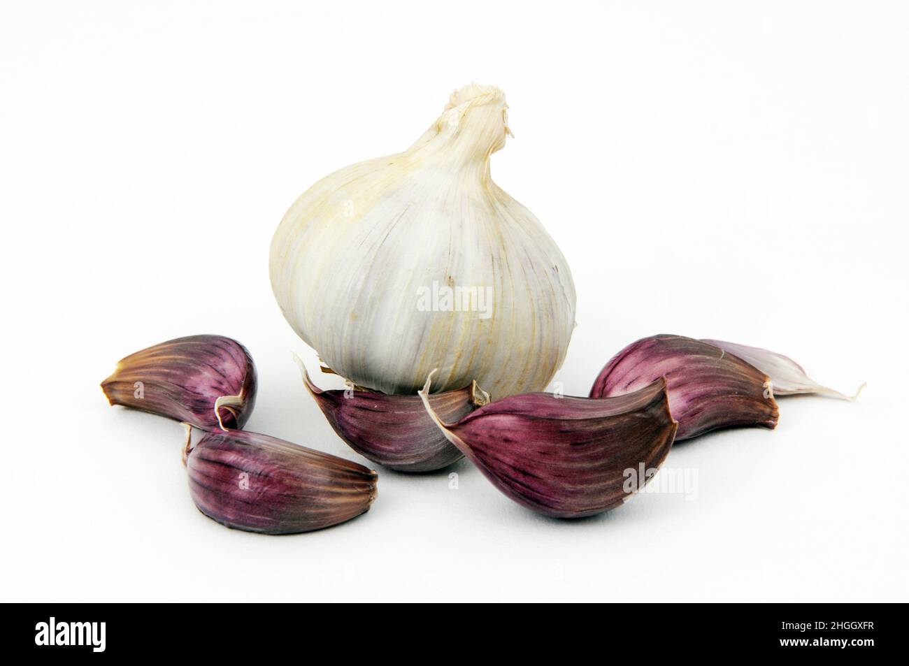 Aglio comune (Allium sativum), bulbo aglio e spicchi di garofano Foto Stock