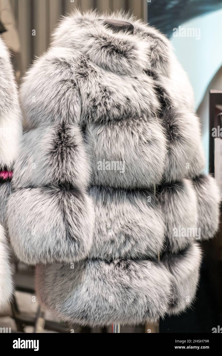 Cappotti di pelliccia in fila su un appendiabiti nel negozio. Moda femminile, abiti in pelliccia di visone naturale di diversi colori Foto Stock