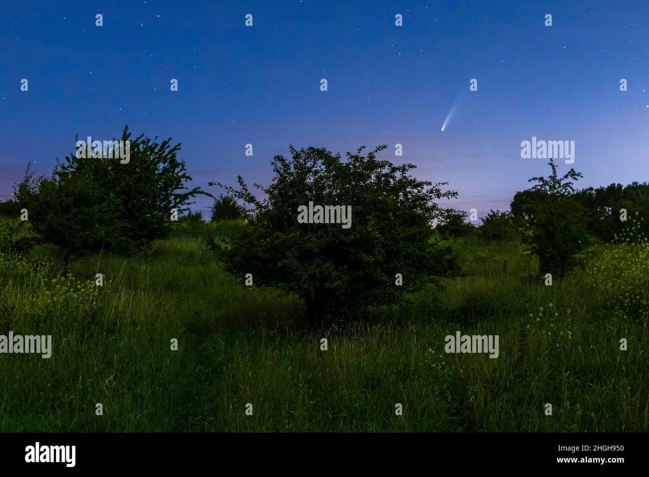Meteor, stella di tiro o stella di caduta visto in un paesaggio di cielo notturno con le nuvole. COMET NEOWISE, C/2020 F3. Foto Stock