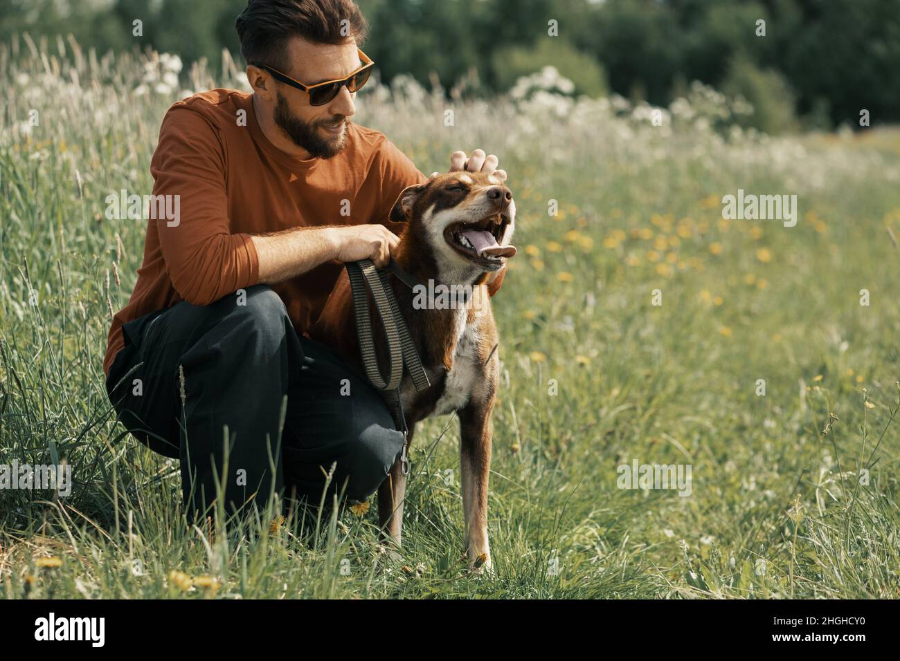 Uomo caucasico che stroking cane sulla testa in campo. Foto Stock