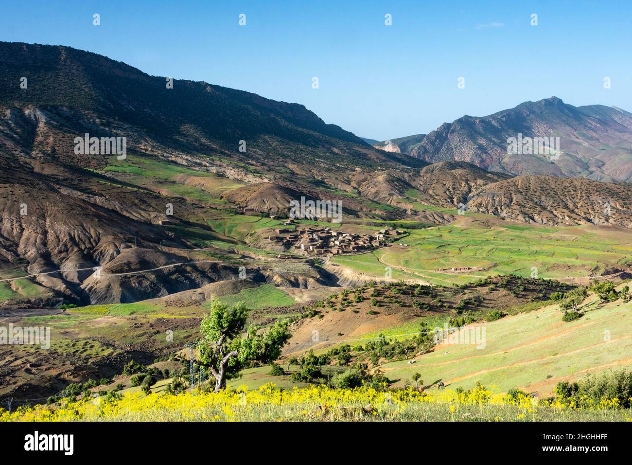 Le montagne dell'Atlante in Marocco. Villaggio berbero in fondo ad una valle, circondato da raccolti terrazzati Foto Stock