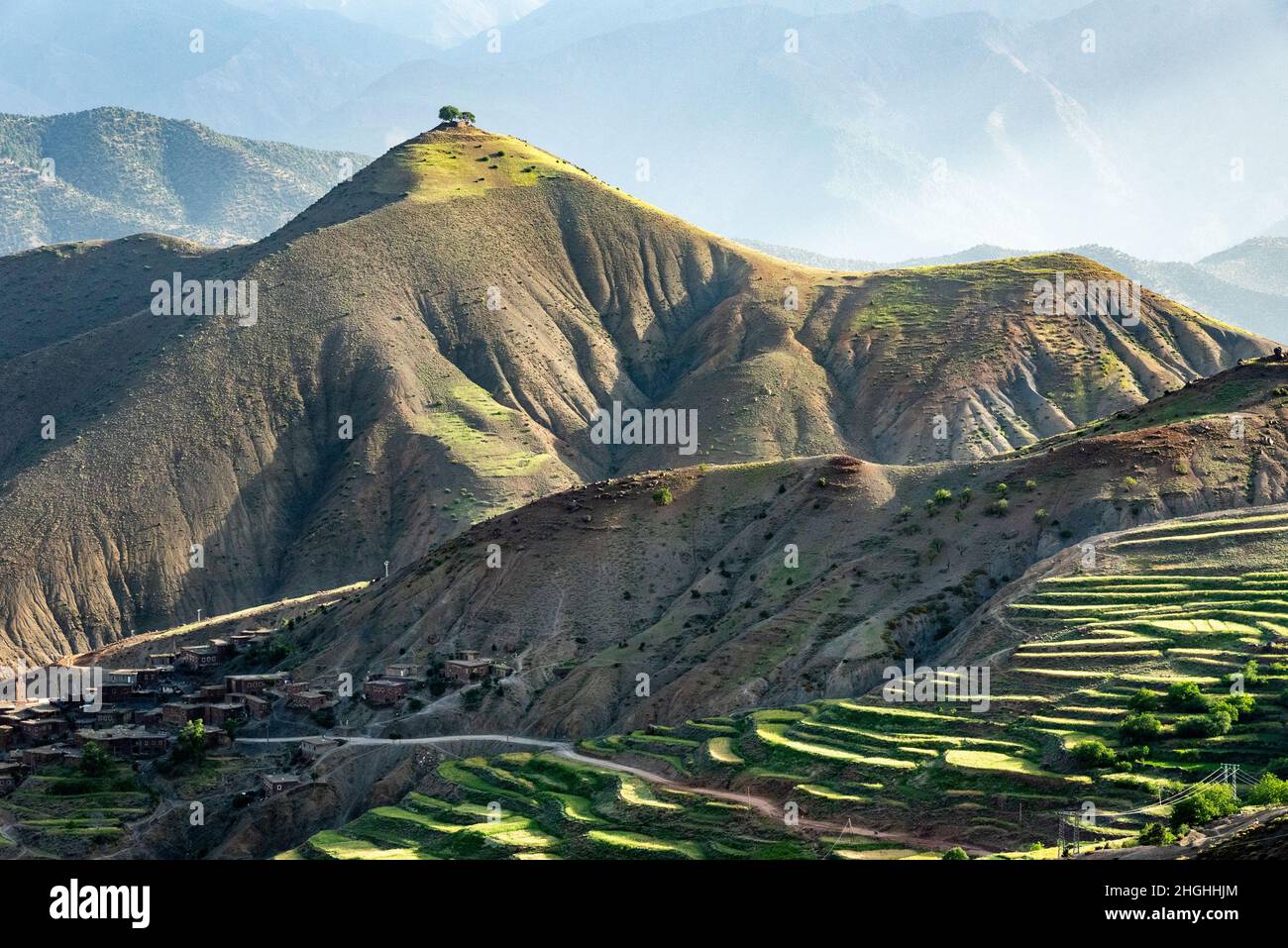 Le montagne dell'Atlante in Marocco. Due alberi solitari sulla cima di una montagna si affacciano su un villaggio e terrazzati campi coltivati Foto Stock