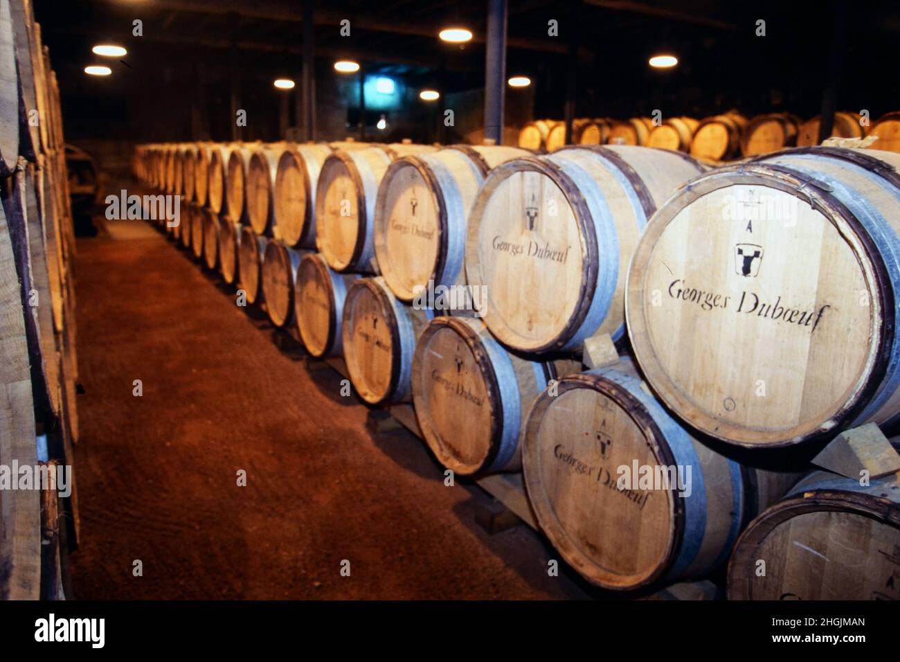Hameau du Vin - Cantone del vino, creato da Georges Duboeuf per promuovere il vino Beaujolais, Romanèche-Thorens, Beaujolais regione, Rodano, Rodano-Alpi regione, Francia,1995 Foto Stock