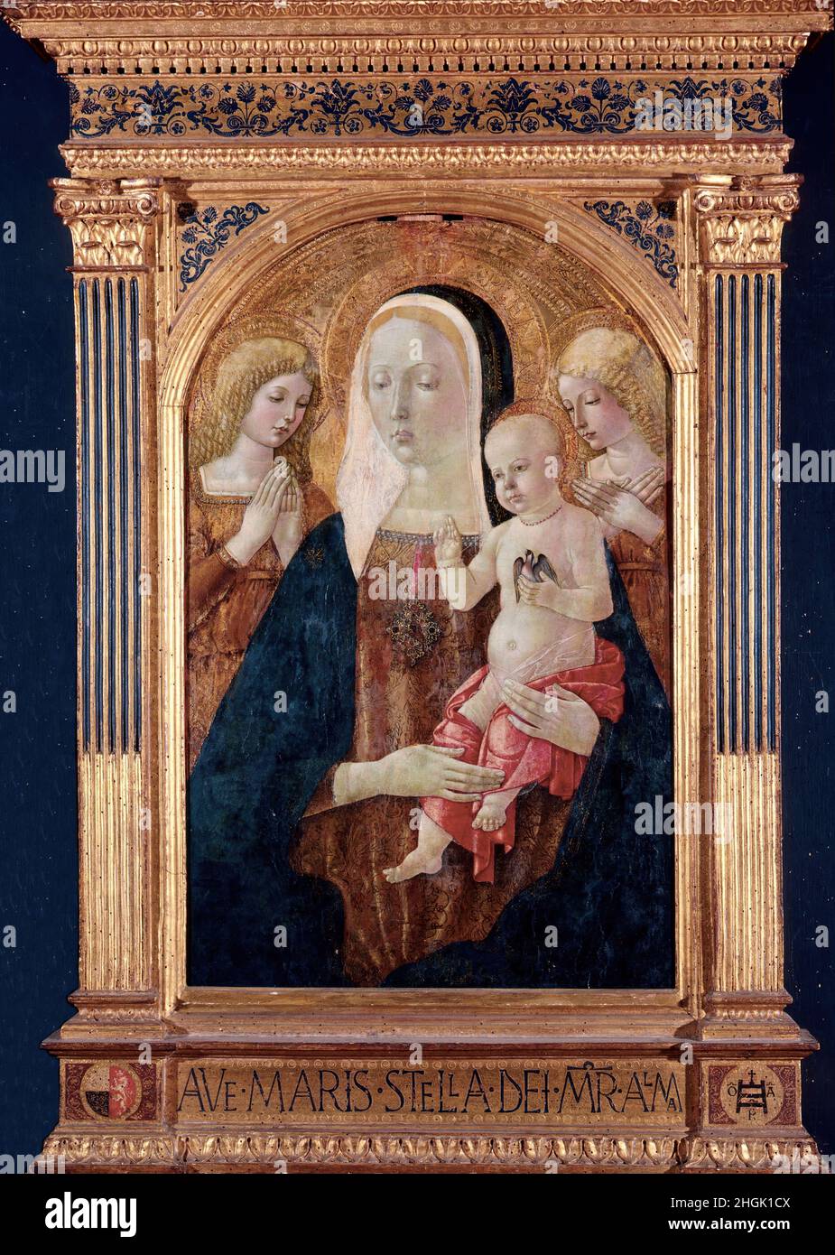La Vergine e il Bambino con gli Angeli - 1475c. - tempera su tela 66 x 41,8 cm - di Benvenuto Girolamo Foto Stock