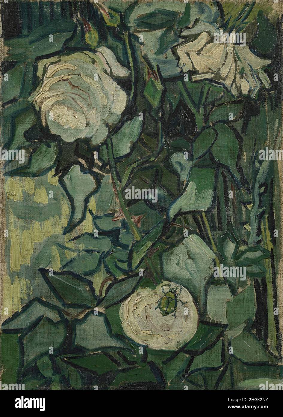 Rose - 1889 - olio su tela 33,5 x 24,5 cm - vg09Van Gogh Vincent Foto Stock