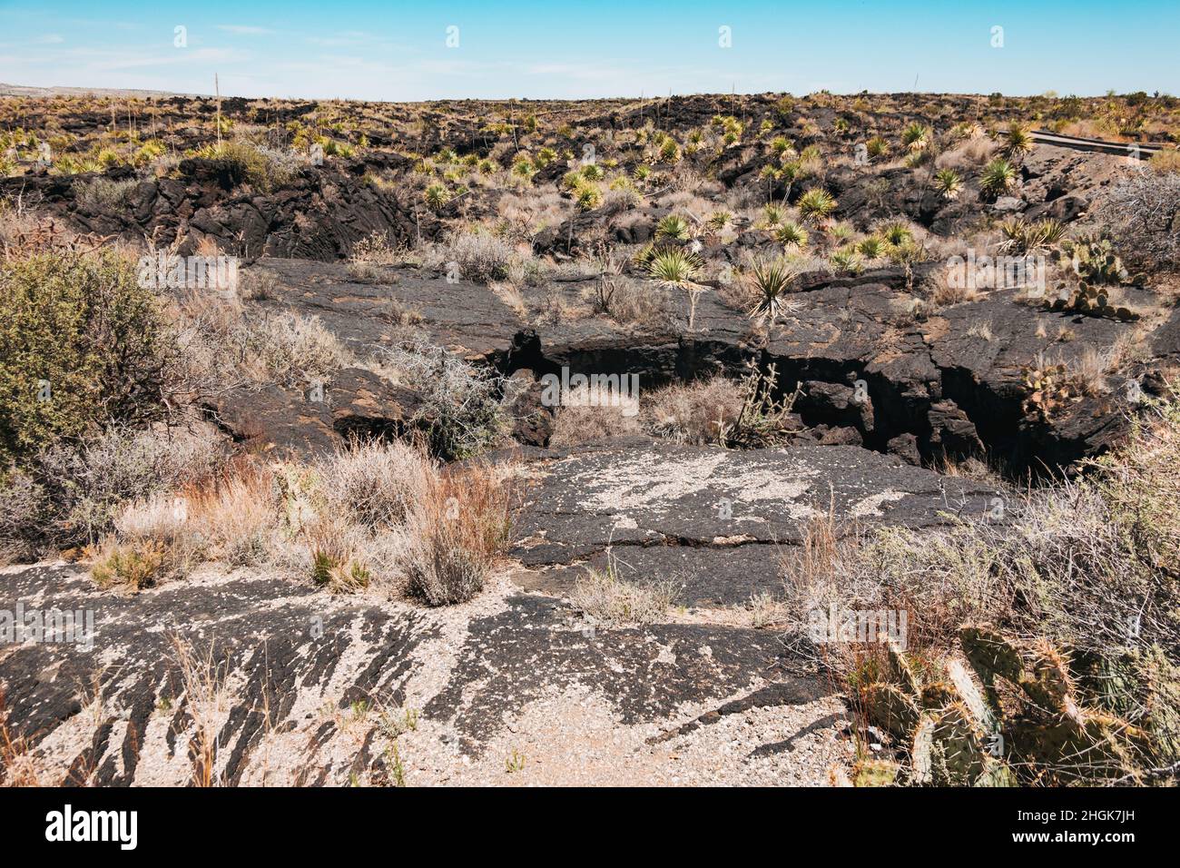La lava indurita nera che fluiva nel bacino di Tularosa 5.000 anni fa, formando il flusso di Lava Malpais nel New Mexico, USA Foto Stock