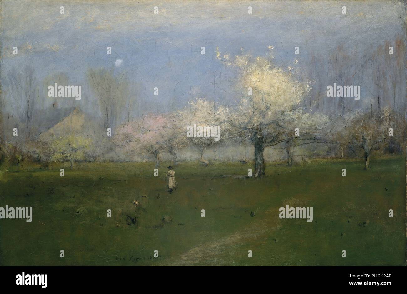 Spring Blossoms, Montclair, New Jersey - 1891c. - olio e pastello o carboncino su tela 73,7 x 114,9 cm - Inness George Foto Stock