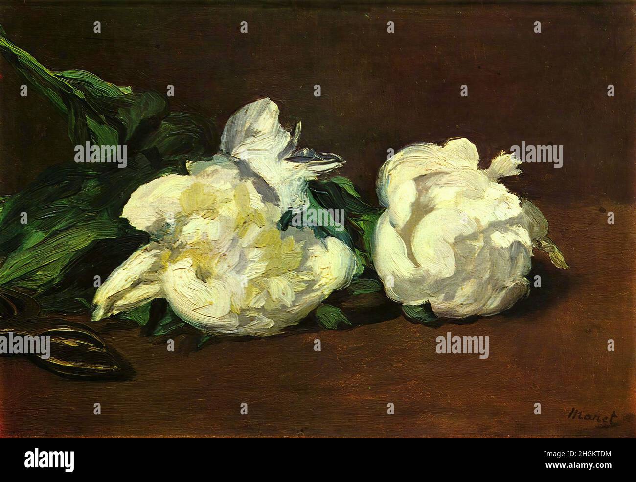 Branche de pivoines blanches et sécateur - 1864 - olio su tela 30,5 x 46,5 cm - Manet Édouard Foto Stock
