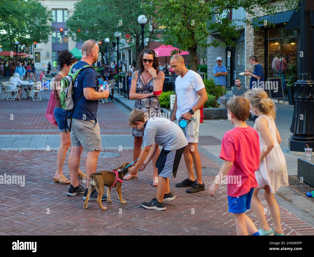 Giovedì sera a Oak Park, Illinois. Bambino che gioca con il cucciolo. Foto Stock