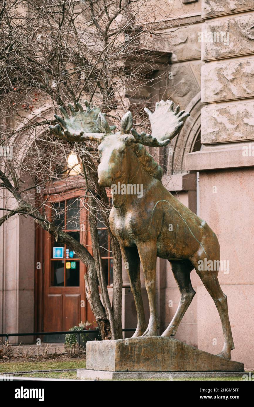 Helsinki, Finlandia. Statua dell'Elca all'ingresso del Museo di Storia Naturale di Helsinki Foto Stock