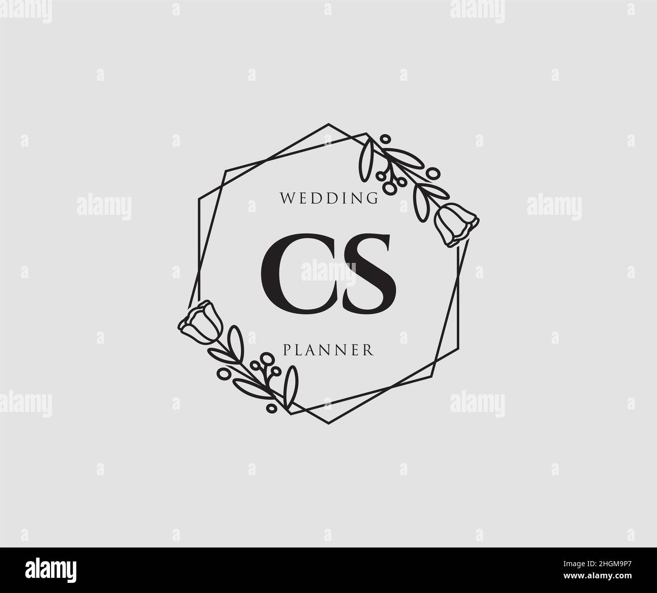 LOGO CS femminile. Utilizzabile per la natura, salone, centro benessere, cosmetici e loghi di bellezza. Elemento modello di disegno con logo a vettore piatto. Illustrazione Vettoriale