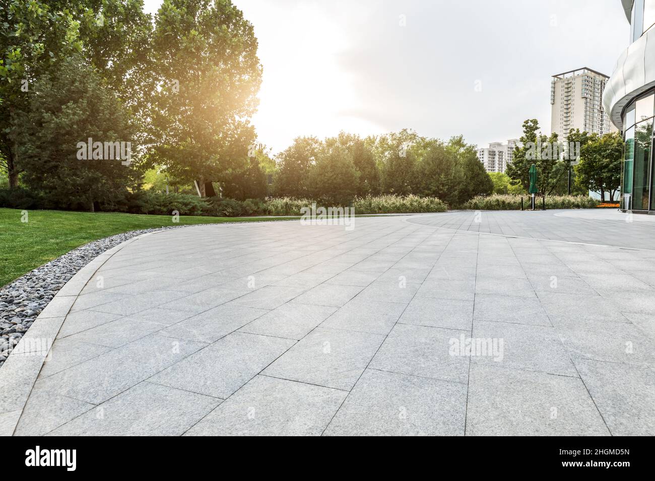 Pavimento quadrato vuoto e sfondo verde foresta Foto Stock