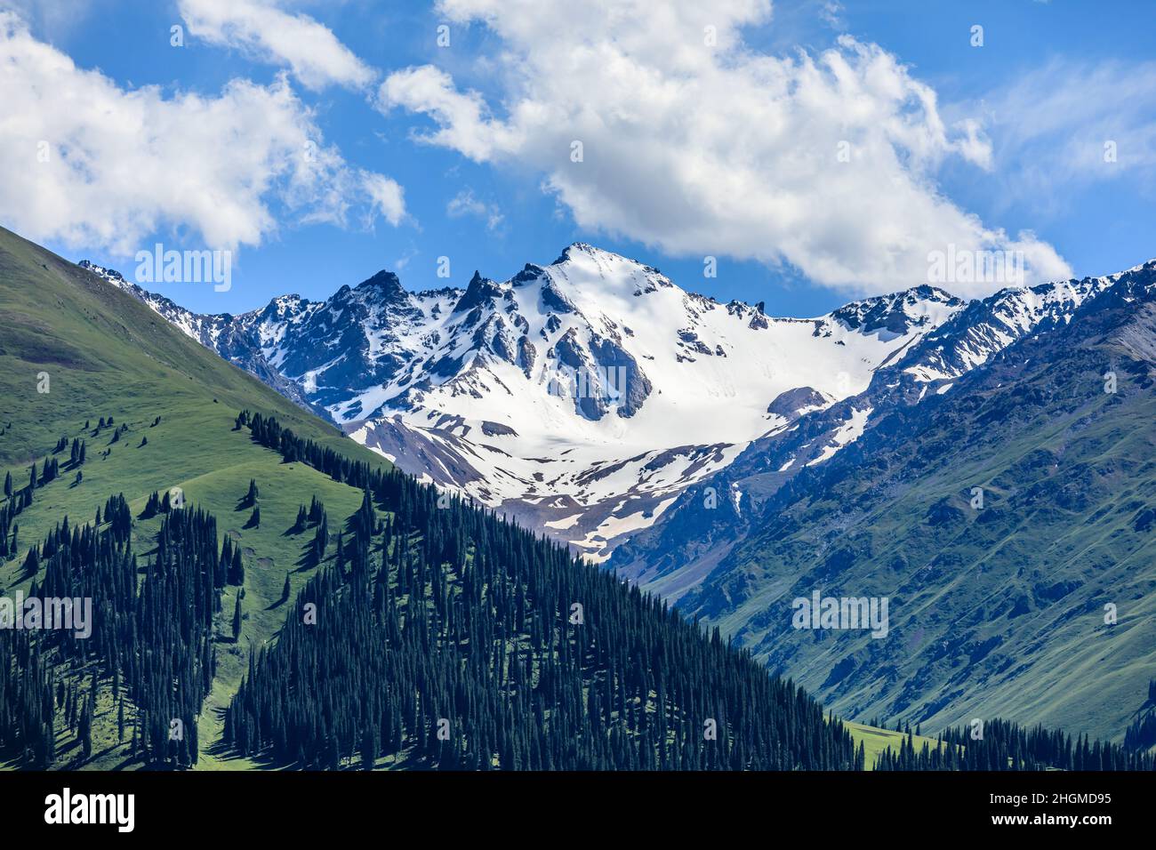 Belle montagne di neve e erba verde con foresta Foto Stock