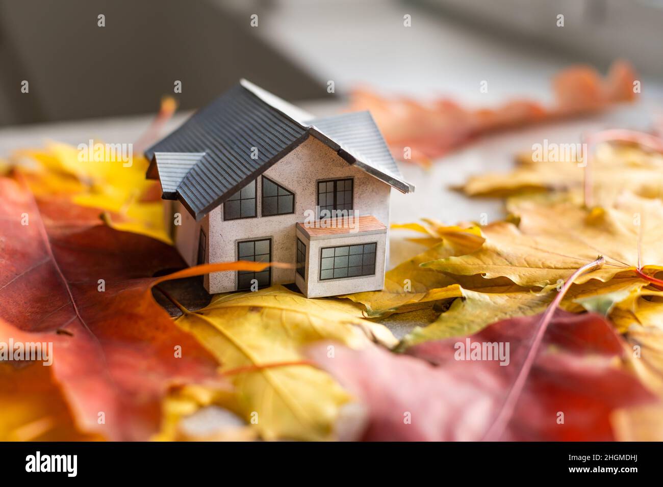 mockup modello casa e lascia vicino computer portatile su un tavolo. Stagione autunnale Foto Stock