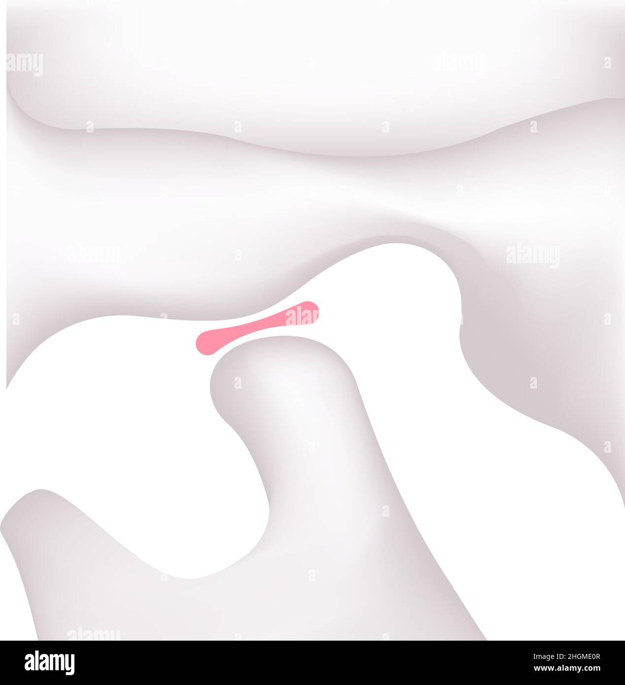 Illustrazione strutturale della mandibola dell'uomo (aperta) Illustrazione Vettoriale