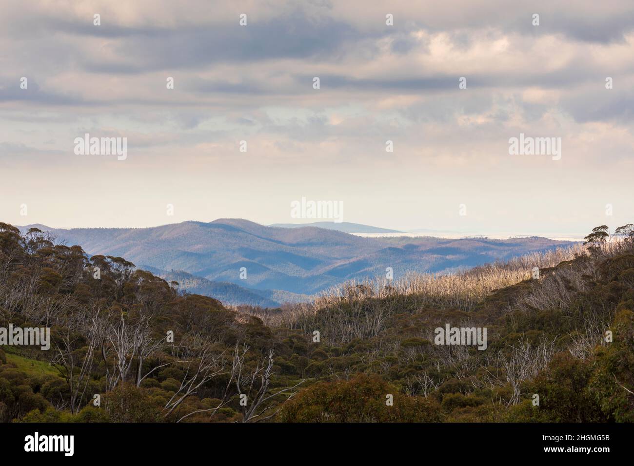 Foto di Dead Horse Gap nelle Snowy Mountains nel nuovo Galles del Sud in Australia Foto Stock