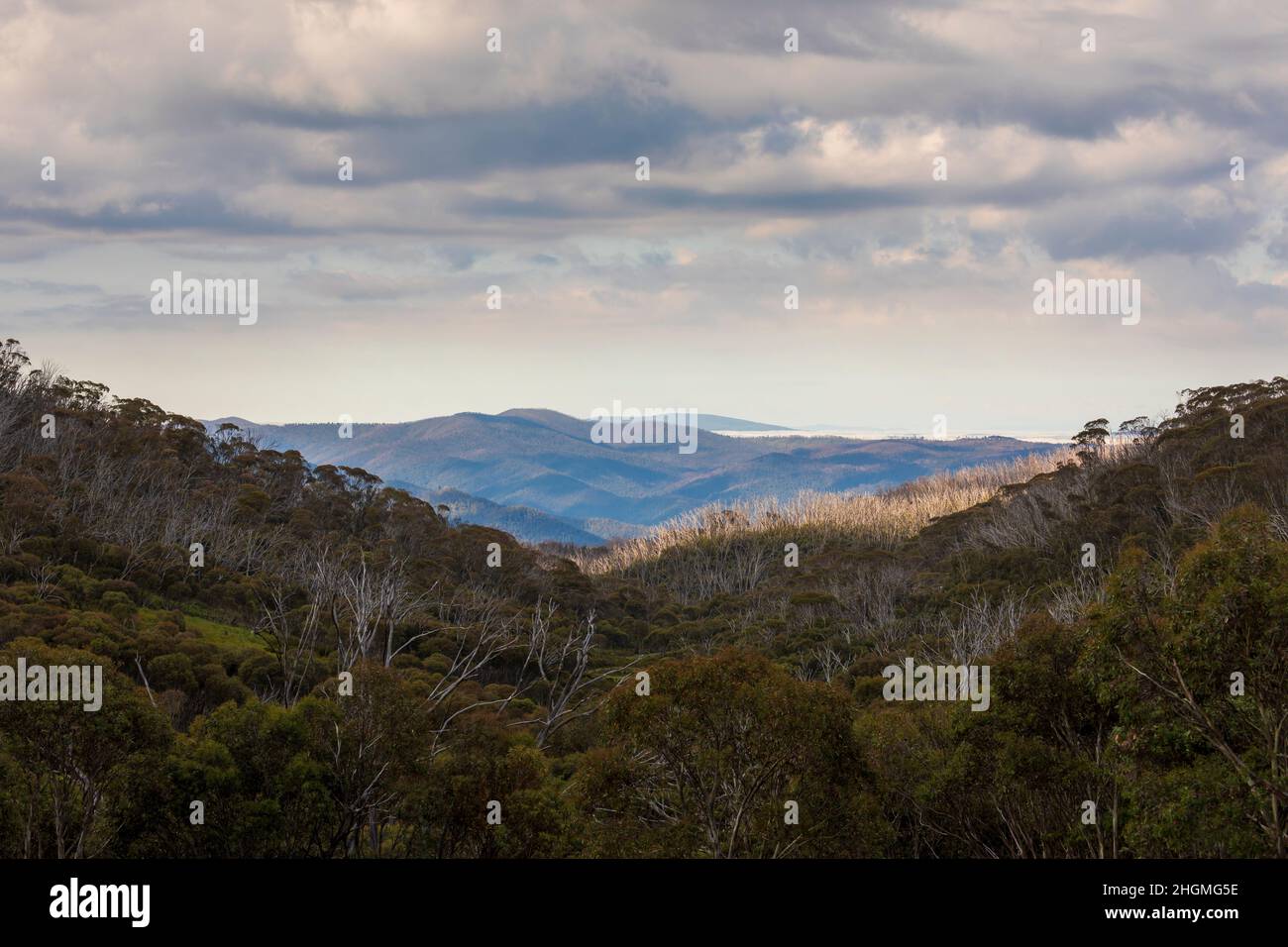 Foto di Dead Horse Gap nelle Snowy Mountains nel nuovo Galles del Sud in Australia Foto Stock