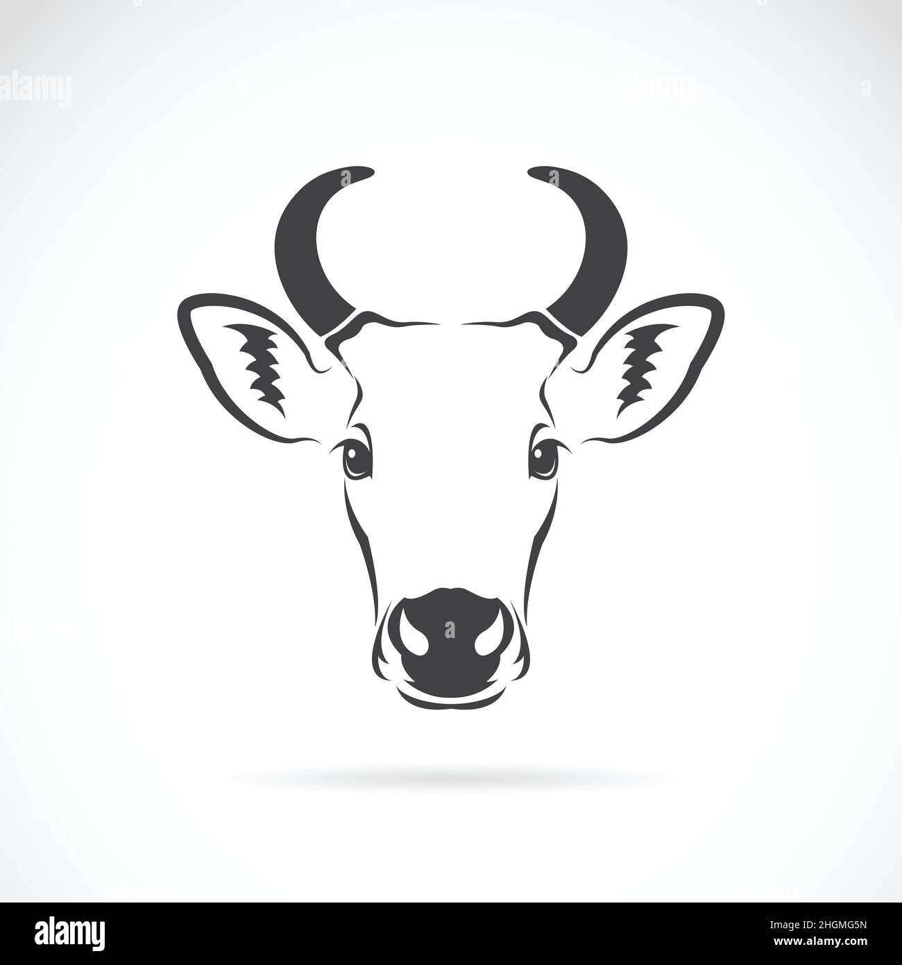 Vettore di una testa di vacca su sfondo bianco. Illustrazione vettoriale a livelli facilmente modificabile. Illustrazione Vettoriale