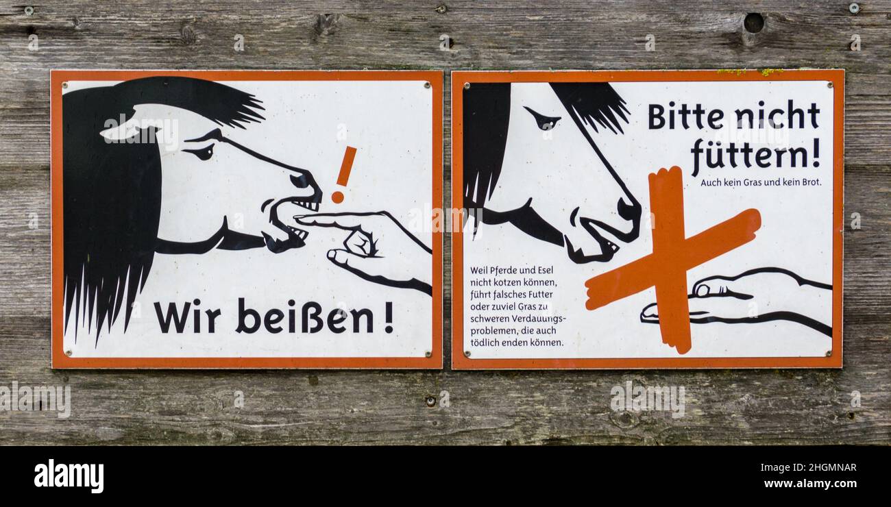 Un cartello pulito da cui è vietato l'uso di cavalli da alimentazione con cornice rossa su sfondo di legno vecchio Foto Stock