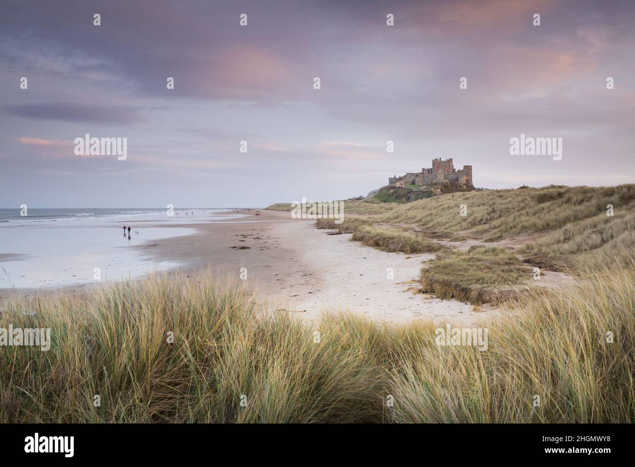 Il castello di Bambburgh e la spiaggia dall'erba del marram hanno coperto le dune di sabbia al crepuscolo sulla costa di Northumberland dell'Inghilterra nord orientale Foto Stock