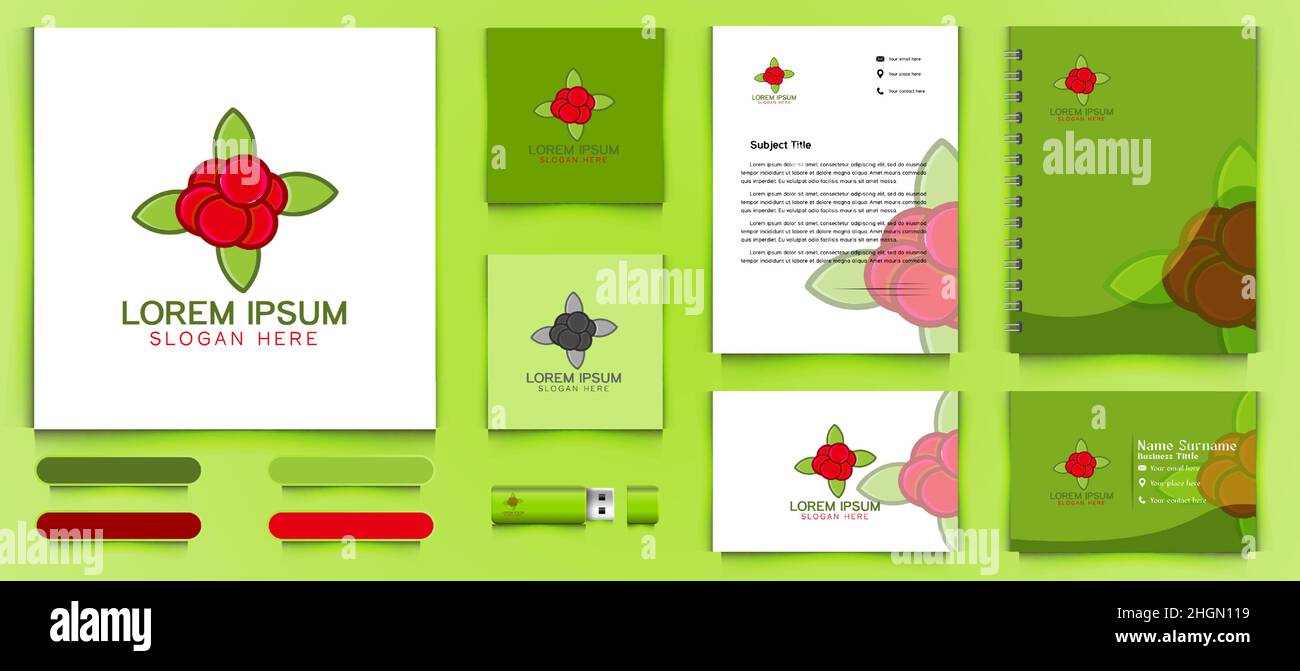 Frutta uva e foglia logo business branding modello pacchetto disegni ispirazione isolato su sfondo bianco Illustrazione Vettoriale