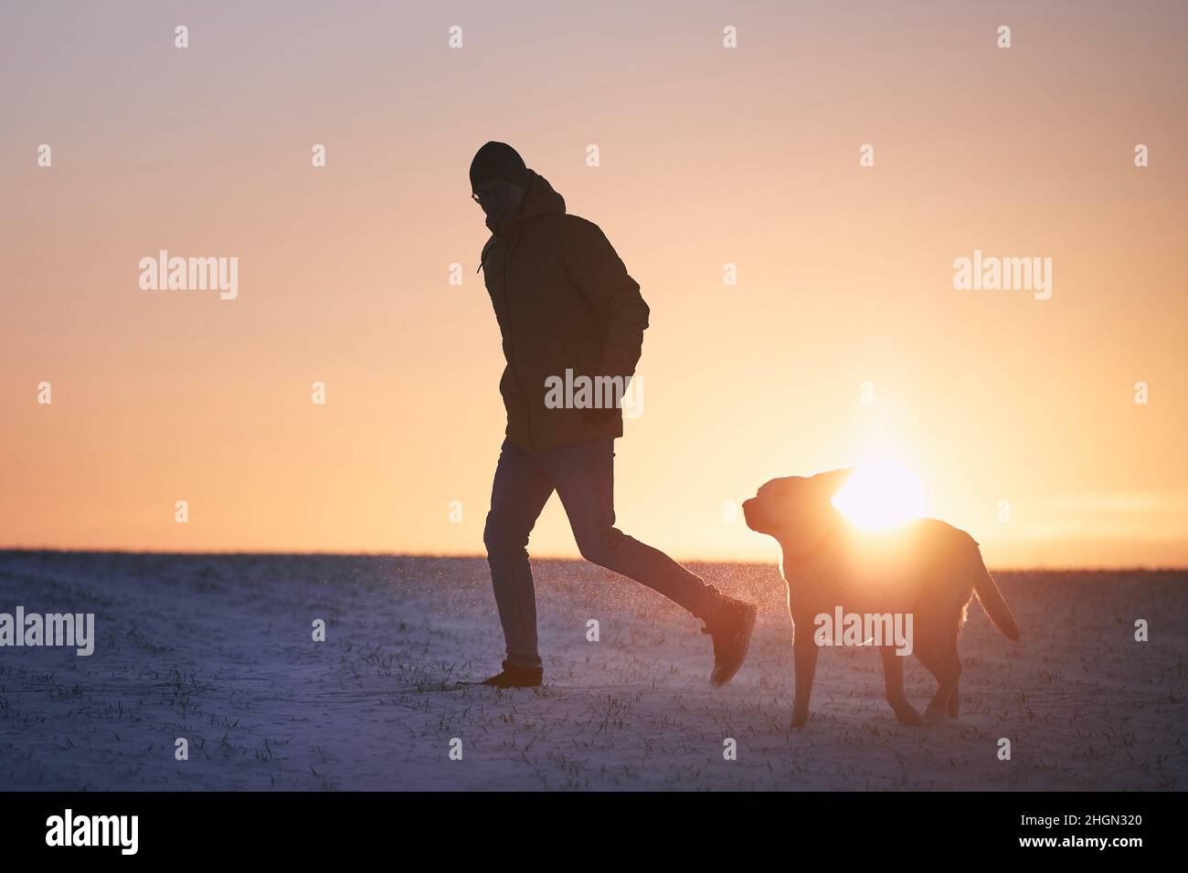 Silhouette di uomo con cane sul prato nevoso. Proprietario di animali domestici che corre con labrador Retriever durante la mattina d'inverno. Foto Stock