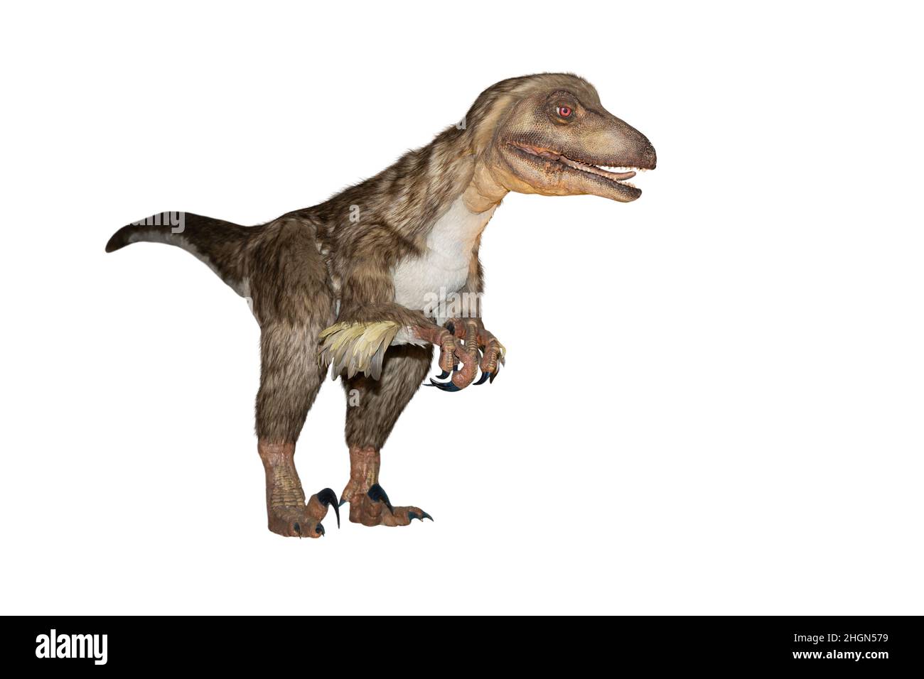 Corpo di un dinosauro isolato su uno sfondo bianco chiaro. Foto Stock