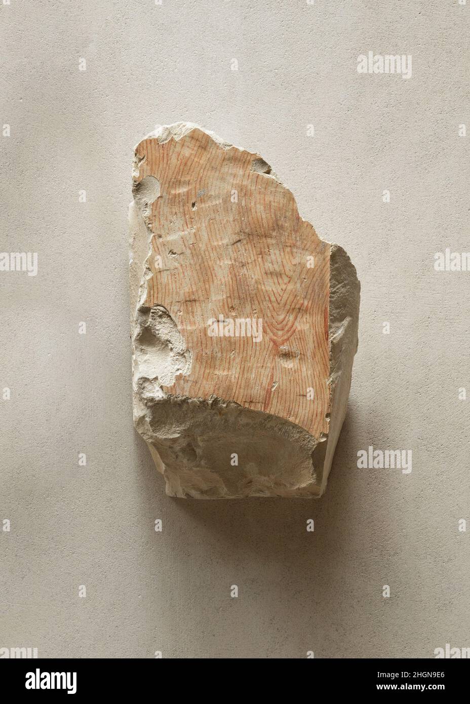 Rilievo raffigurante una porta di legno - vedere 26,3.353-5 ca. 2051–2030 a.C. Regno di mezzo. Rilievo raffigurante una porta di legno - vedi 26,3.353-5. CA. 2051–2030 A.C. Calcare, vernice. Medio Regno. Dall'Egitto, l'Alto Egitto, Tebe, Deir el-Bahri, Tomba di Neferu (TT 319, MMA 31), scavi MMA, 1923–25, 1930–31. Dynasty 11 Foto Stock