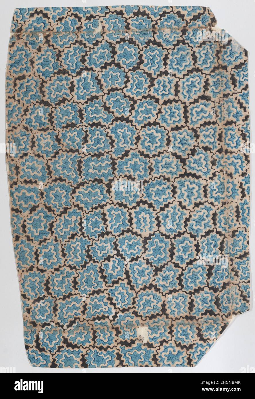 Foglio con un modello complessivo di forme organiche 19th secolo Anonimo. Foglio con un modello complessivo di forme organiche. Anonimo , 19th secolo. 19th secolo. Stampa in rilievo (legno o metallo). Stampa Foto Stock