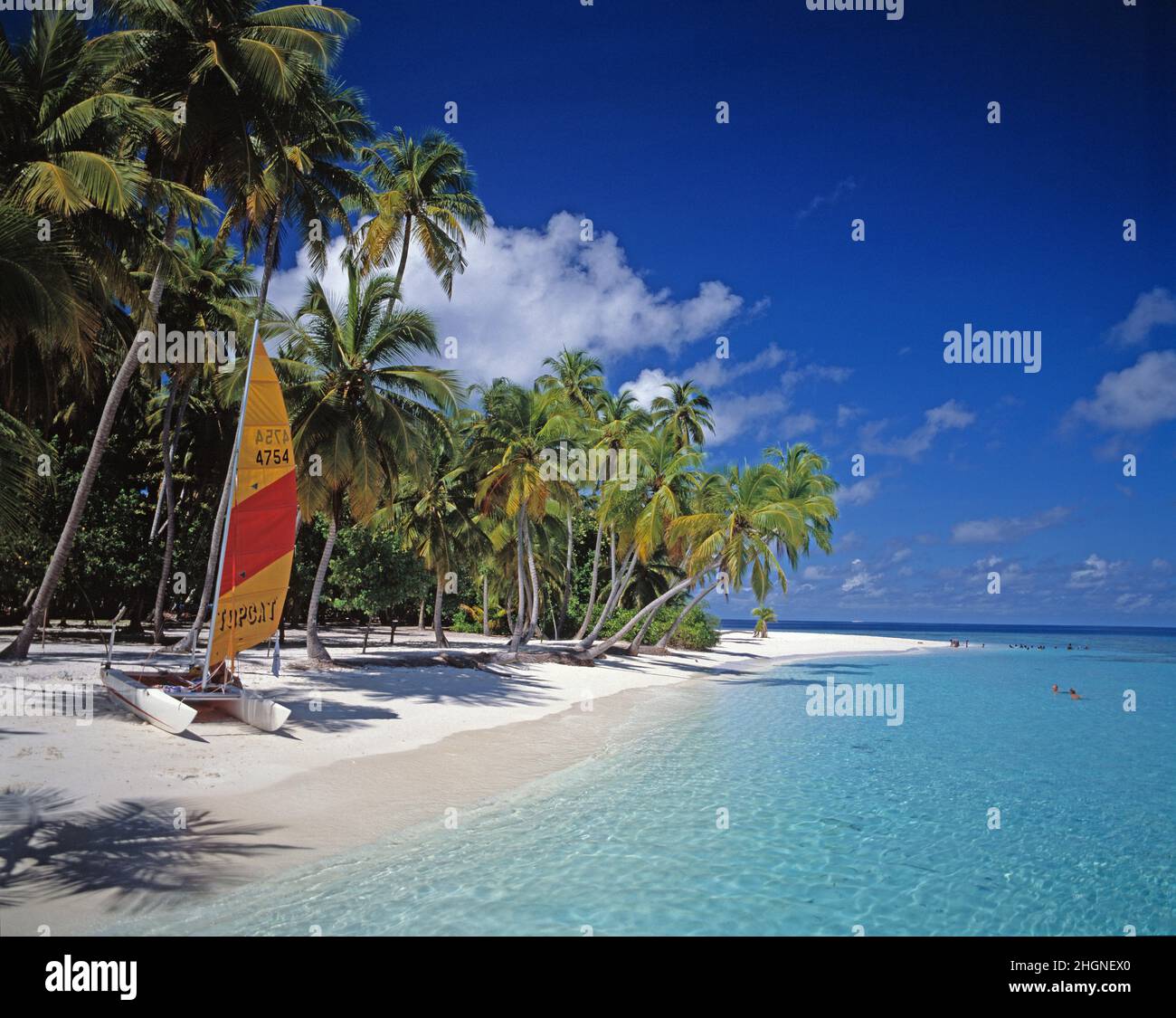 Maldive. Spiaggia tropicale con barca a vela Hobie Cat. Foto Stock