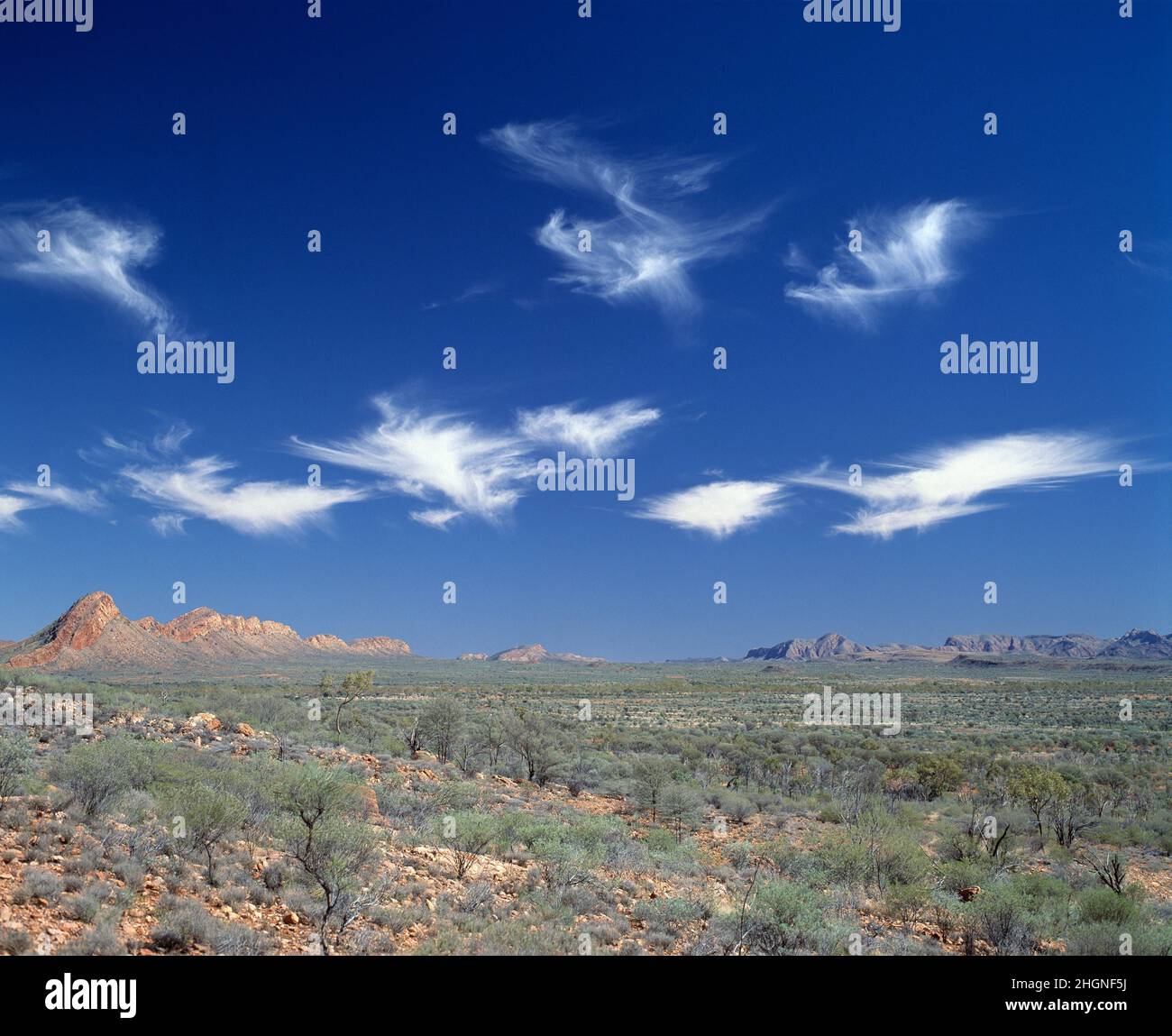 Australia. Territorio del Nord. Regione di Alice Springs .West Macdonnell Ranges. Vista distante di Haasts Bluff. Foto Stock