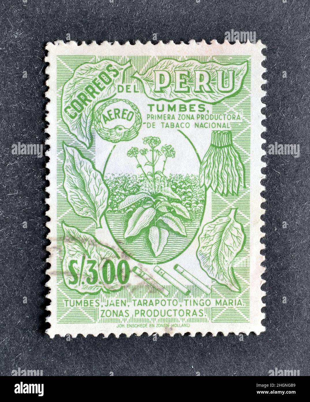 Francobollo cancellato stampato dal Perù, che mostra tabacco-pianta di Tumbes, circa 1962. Foto Stock