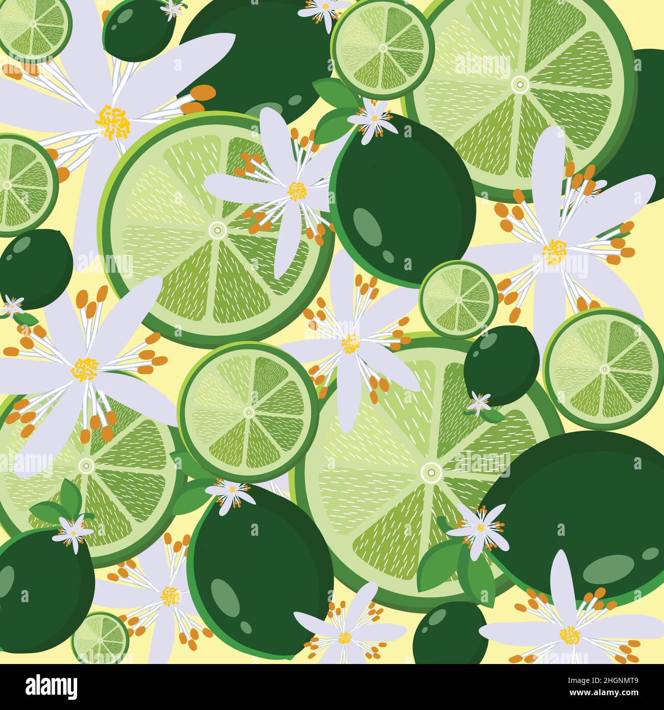 lime e fiori monoscopio Illustrazione Vettoriale