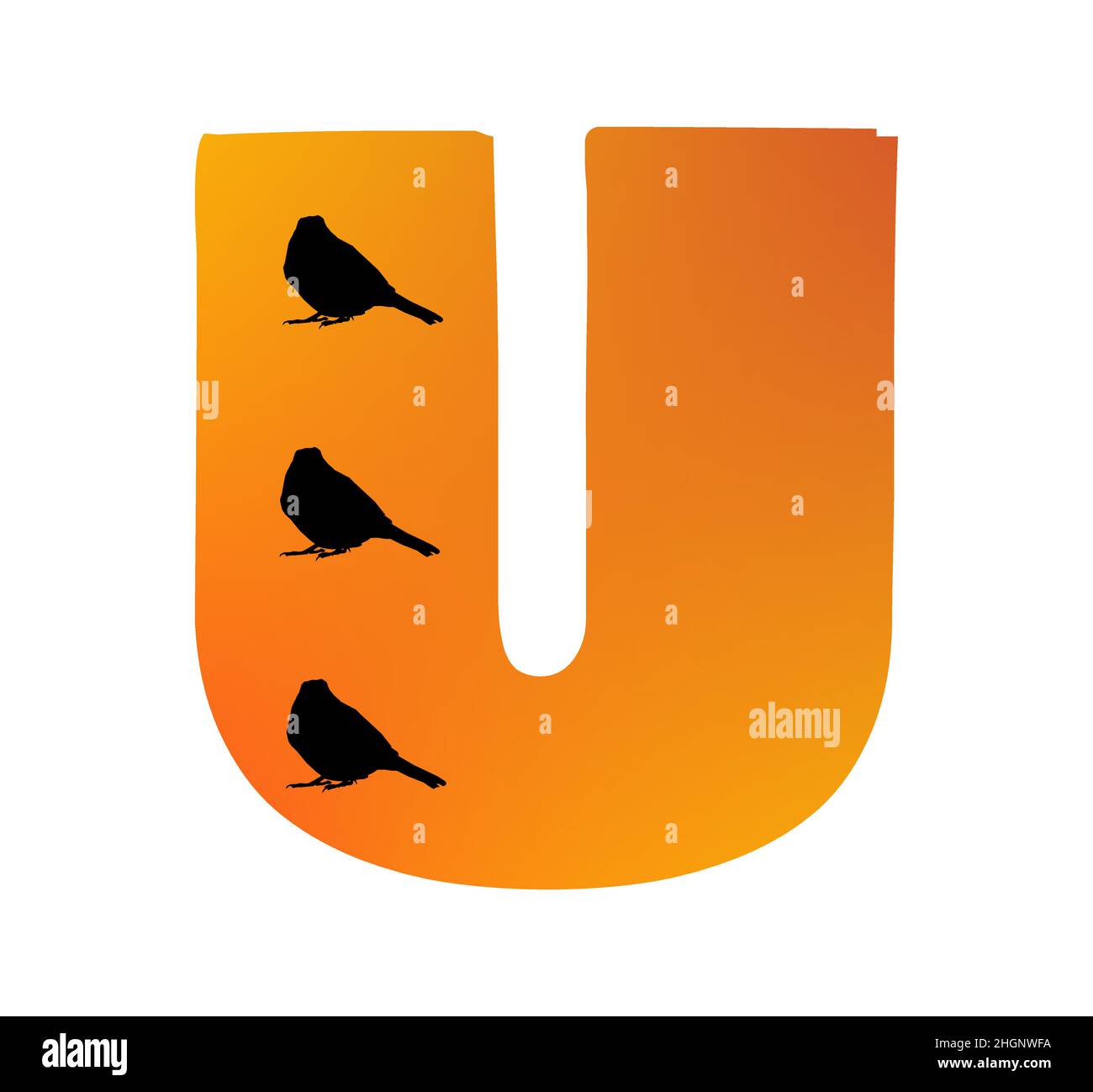 Lettera U dell'alfabeto di colore arancione e tre silhouette di uccelli, isolato su sfondo bianco; vettore Illustrazione Vettoriale