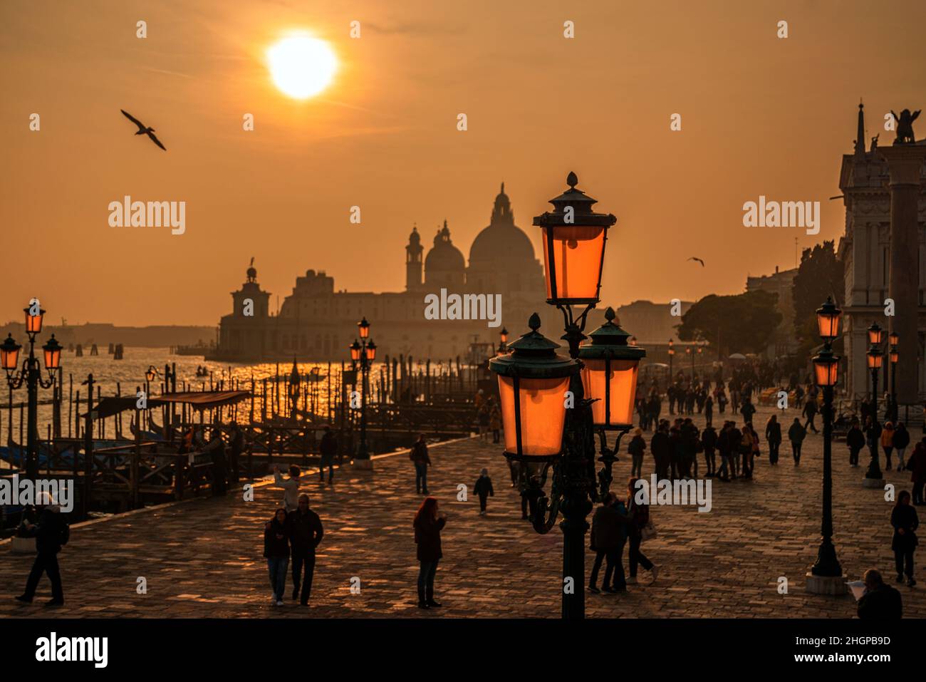 Tramonto con le lampade standard sulla Rive Shiavoni, il Canal Grande, Venezia, Italia Foto Stock